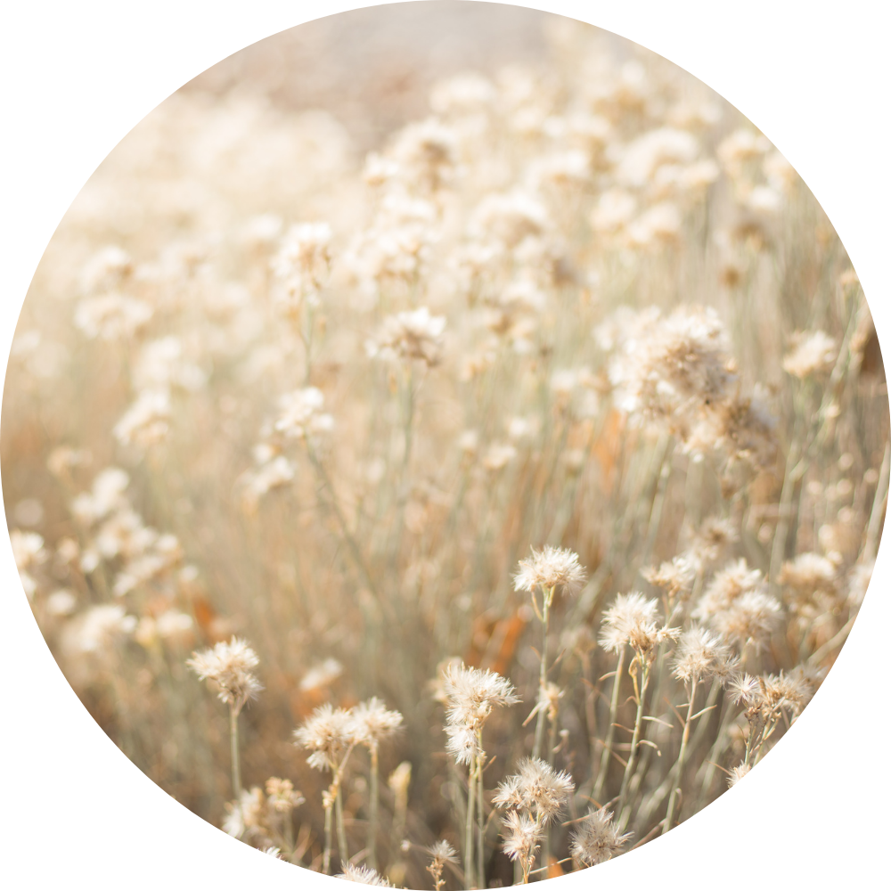 Cérémonies d'enterrement à Neuchâtel