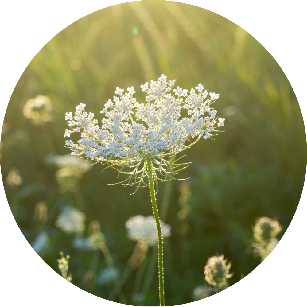 Organiser une cérémonie d'obsèques en Suisse